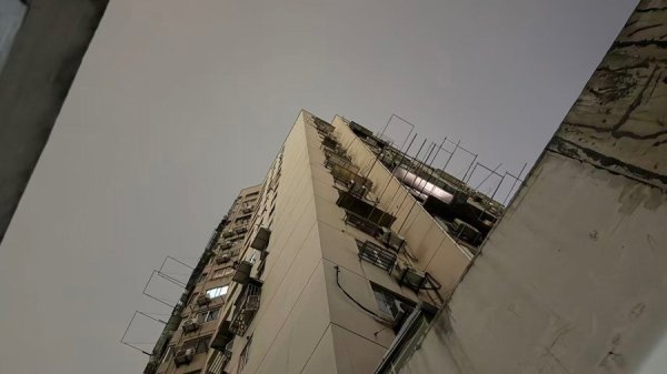 牛领策略 新闻追踪｜灯带关闭蚊虫消失 居民可安心入睡